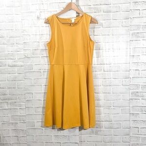 H&M Fit and Flare Dress